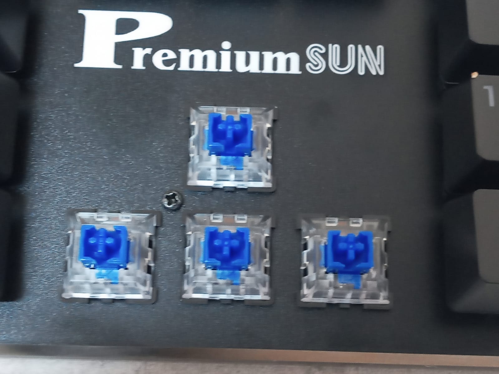 WhatsApp Image 2023-02-10 at 15.00.27